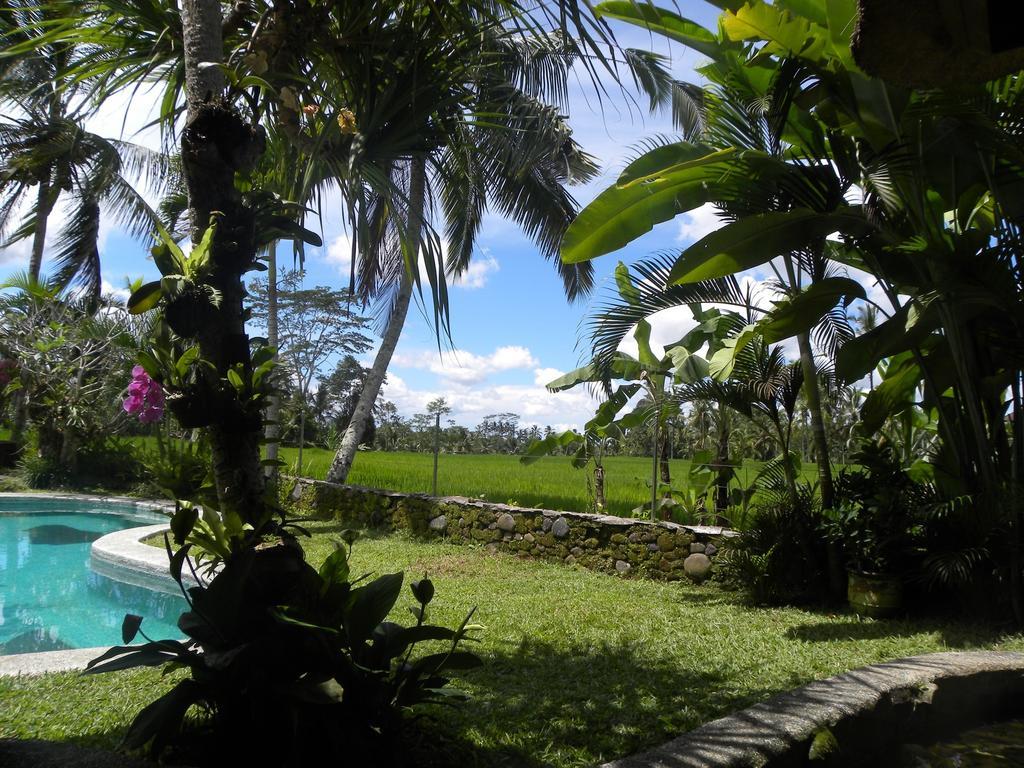 Saudara Home Ubud Zewnętrze zdjęcie