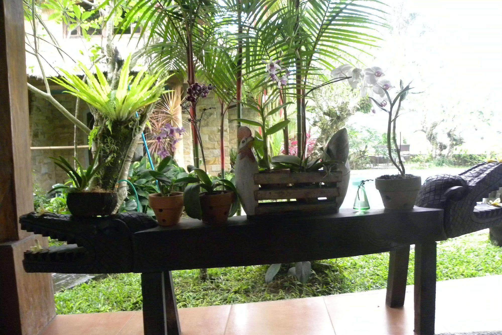 Saudara Home Ubud Zewnętrze zdjęcie