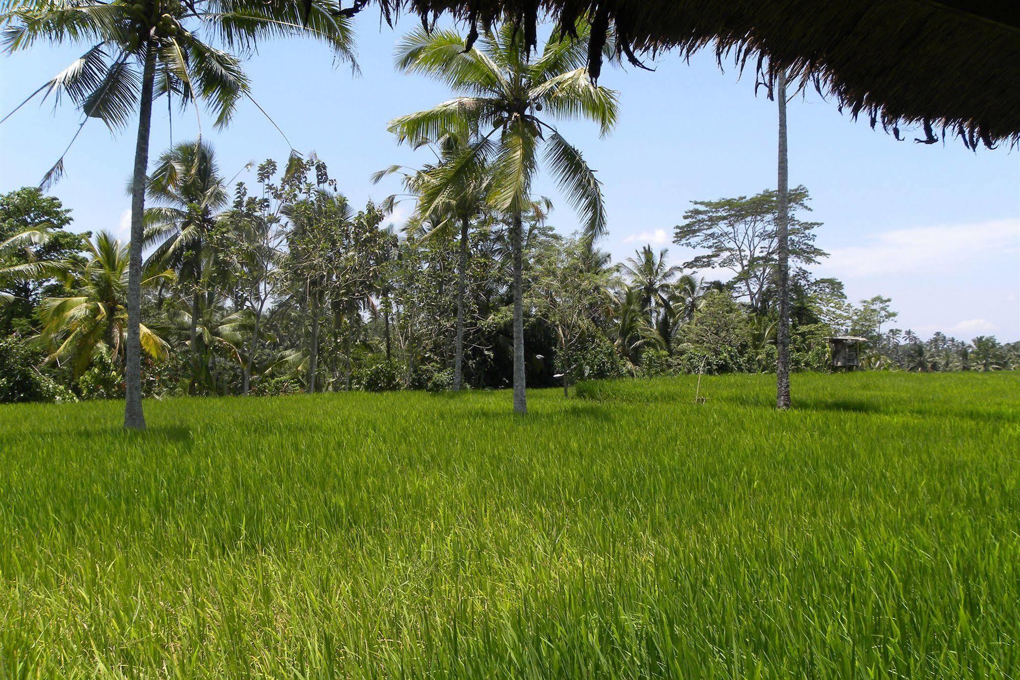 Saudara Home Ubud Zewnętrze zdjęcie