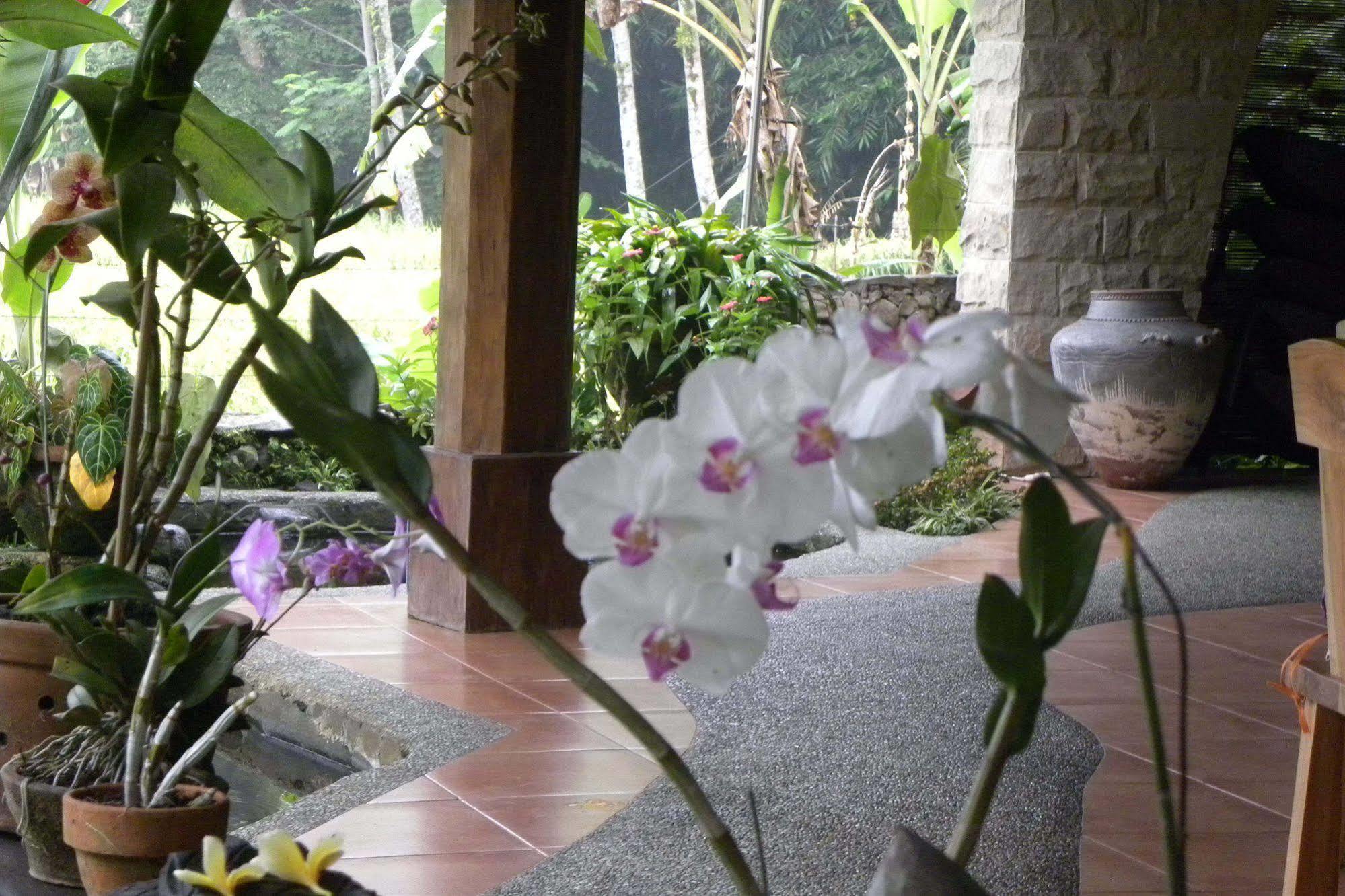 Saudara Home Ubud Zewnętrze zdjęcie