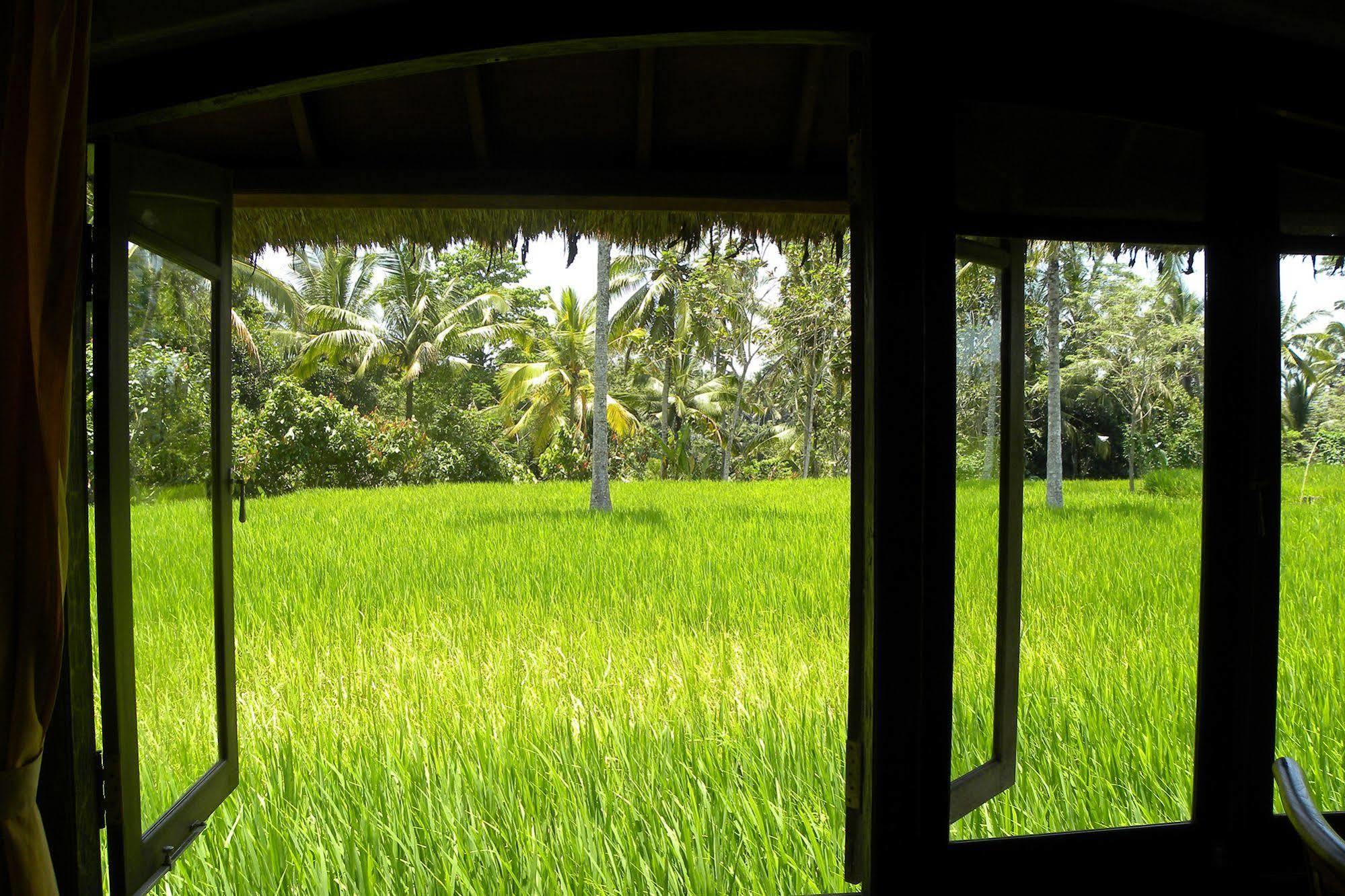 Saudara Home Ubud Zewnętrze zdjęcie