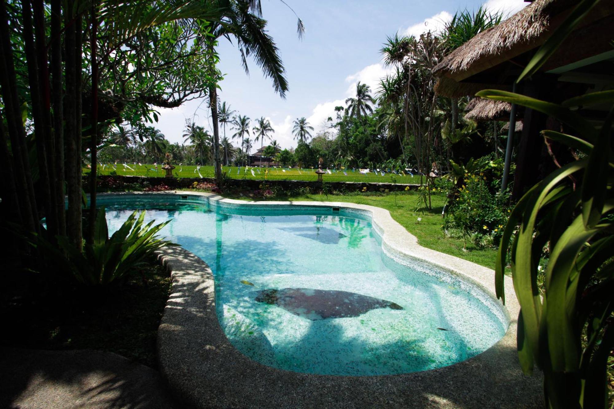 Saudara Home Ubud Zewnętrze zdjęcie